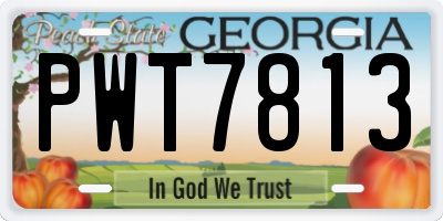 GA license plate PWT7813