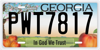 GA license plate PWT7817