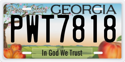 GA license plate PWT7818