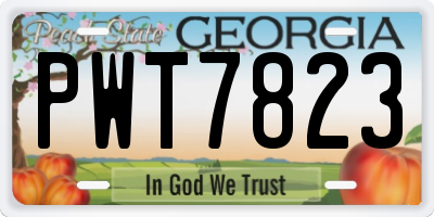 GA license plate PWT7823