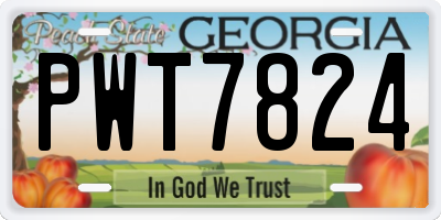 GA license plate PWT7824