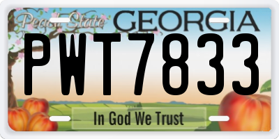 GA license plate PWT7833