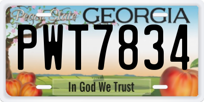GA license plate PWT7834