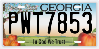 GA license plate PWT7853
