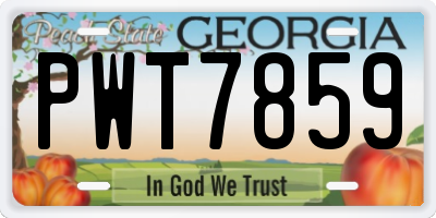GA license plate PWT7859