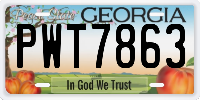 GA license plate PWT7863