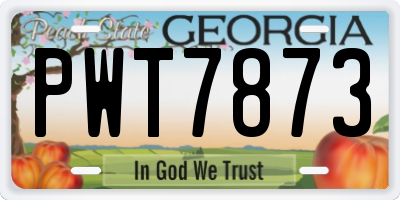 GA license plate PWT7873