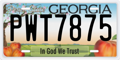 GA license plate PWT7875