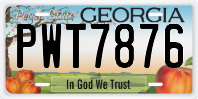 GA license plate PWT7876