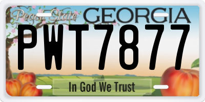 GA license plate PWT7877
