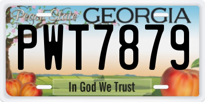 GA license plate PWT7879