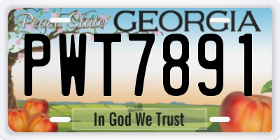 GA license plate PWT7891