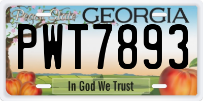 GA license plate PWT7893