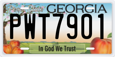 GA license plate PWT7901