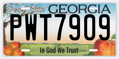 GA license plate PWT7909