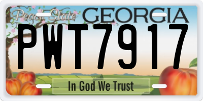 GA license plate PWT7917