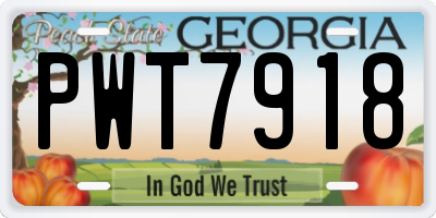 GA license plate PWT7918