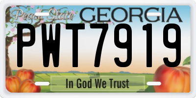 GA license plate PWT7919