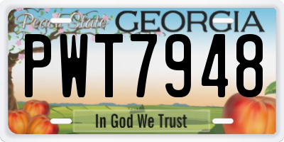 GA license plate PWT7948