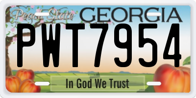GA license plate PWT7954