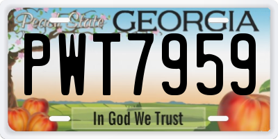 GA license plate PWT7959