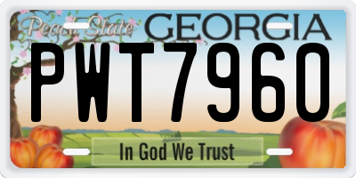 GA license plate PWT7960