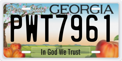 GA license plate PWT7961
