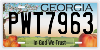 GA license plate PWT7963