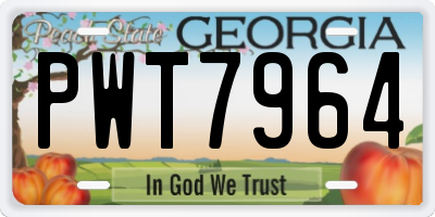 GA license plate PWT7964