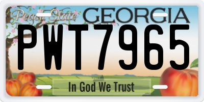 GA license plate PWT7965