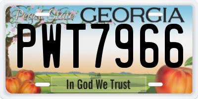 GA license plate PWT7966