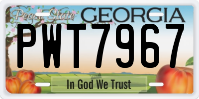GA license plate PWT7967