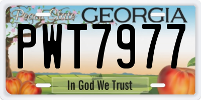 GA license plate PWT7977