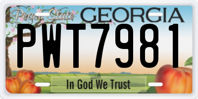 GA license plate PWT7981