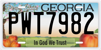 GA license plate PWT7982
