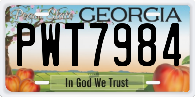 GA license plate PWT7984