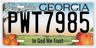 GA license plate PWT7985