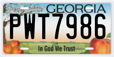 GA license plate PWT7986