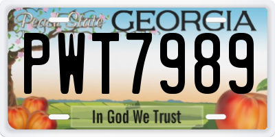 GA license plate PWT7989