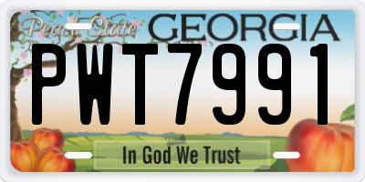 GA license plate PWT7991