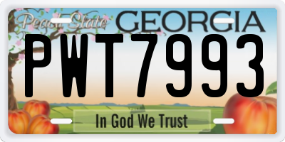 GA license plate PWT7993
