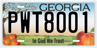 GA license plate PWT8001