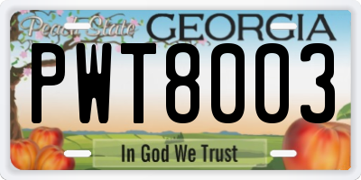 GA license plate PWT8003