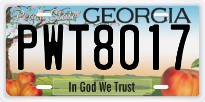 GA license plate PWT8017