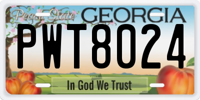 GA license plate PWT8024