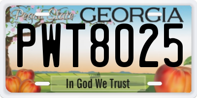 GA license plate PWT8025