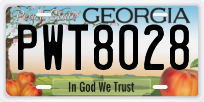 GA license plate PWT8028
