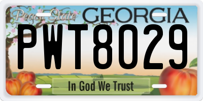 GA license plate PWT8029
