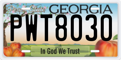 GA license plate PWT8030