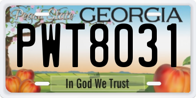 GA license plate PWT8031